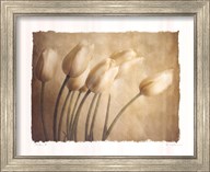 preframed
