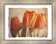 preframed