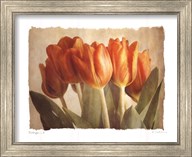 preframed