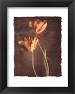 preframed