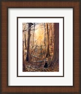 preframed