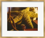 preframed