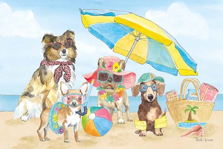 Summer Paws I by Beth Grove art print