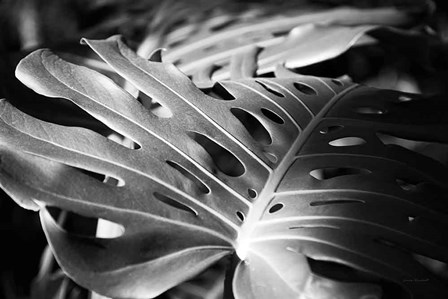 Philodendron by Laura Marshall art print
