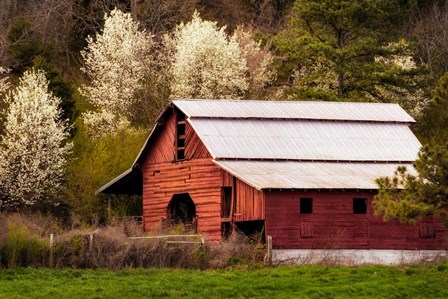 Skylight Red Barn by Andy Amos art print