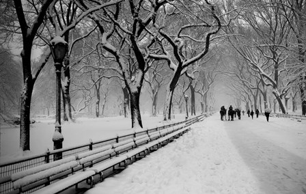 Central Park Snow by Bill Carson Photography art print