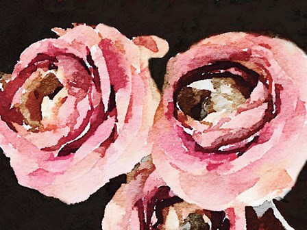 Dark Roses by Emily Navas art print