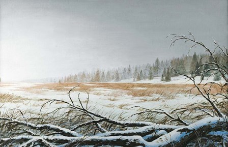 Snowy Morning by Bruce Nawrocke art print