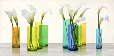 Callas in crystal vases by Cynthia Ann art print