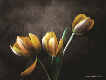 Contemporary Floral Tulips by Bluebird Barn art print