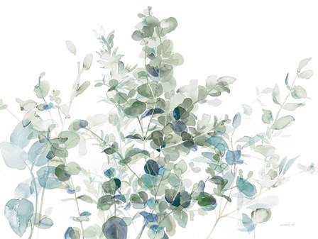 Eucalyptus I Cool by Danhui Nai art print