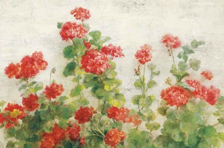 Red Geraniums on White v2 by Danhui Nai art print