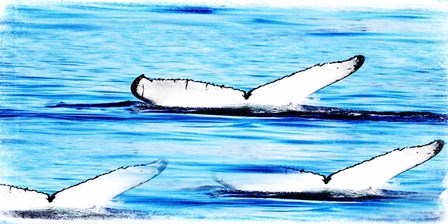 Whale Watching by Sheldon Lewis art print