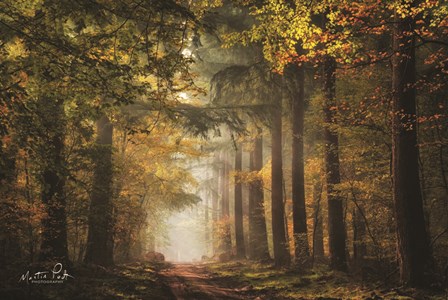 Lush by Martin Podt art print