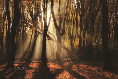 X by Martin Podt art print