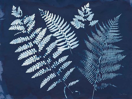 Nature By The Lake - Ferns II by Piper Rhue art print
