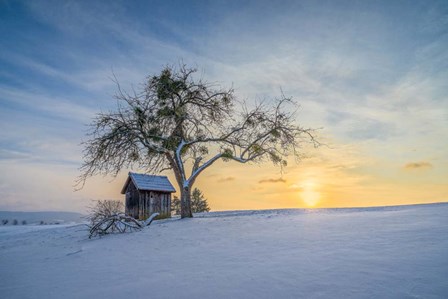 Under The Mistletoe by Anne Schneidersmann art print