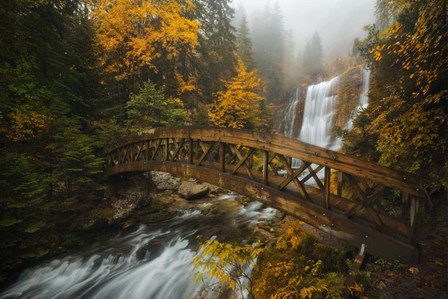 A Bridge in the Forest by Enrico Fossati art print