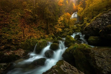 Resplendent Stream by Enrico Fossati art print