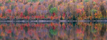 Upson Lake Reflection by Jim Becia art print