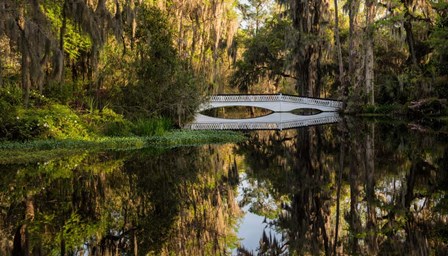 Long White Bridge by Daniel Burt art print