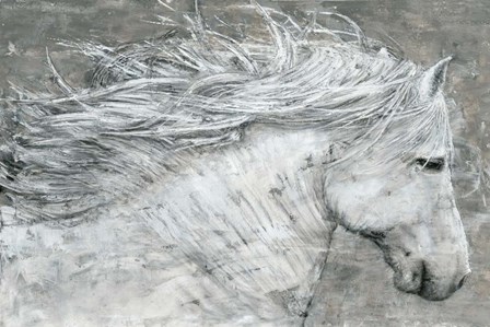 Wild Horse by Marie-Elaine Cusson art print