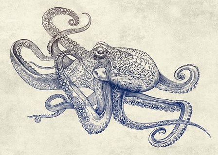 Octoflow by Rachel Caldwell art print