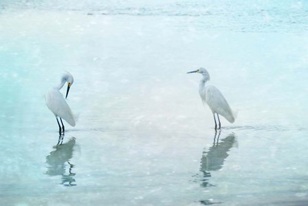 White Cranes by Hannes Cmarits art print