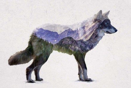 Rocky Mountain Grey Wolf by Davies Babies art print