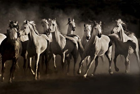 Dream Horses by Lisa Dearing art print
