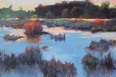 Ace Basin Creek by Madeline Dukes art print