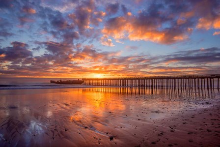 Cement Ship Sunset by John Gavrilis art print