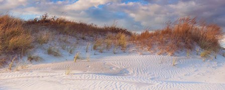 Dunes Light by Katherine Gendreau art print