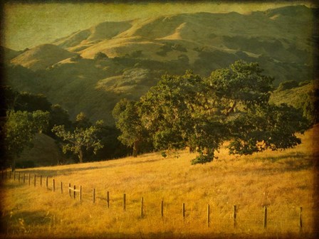 Oak and Fence by William Guion art print