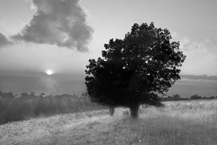 Spitler Knoll Overlook by Winthrope Hiers art print