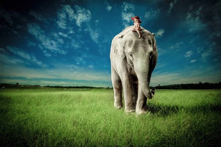 Elephant Carry Me by Jeff Madison art print