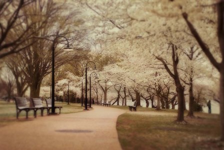 Springtime Stroll by Natalie Mikaels art print