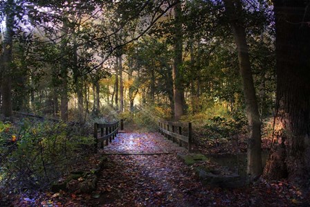 Beyond the Wooden Bridge by John Rivera art print