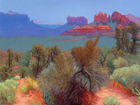 High Desert by Mary Silverwood art print