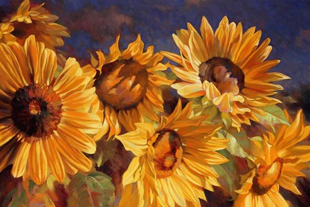 Sunflower by Emma Styles art print