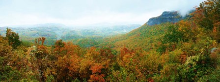 Whiteside Overlook by Steve Vaughn art print