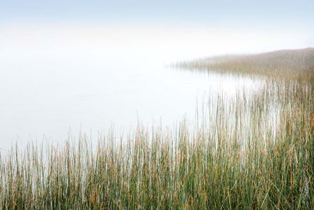 Crescent Beach Calm 3 by Alan Blaustein art print