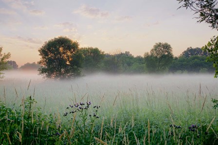 Western Plains Sunrise by Alan Blaustein art print