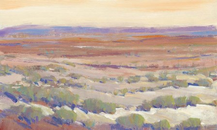 High Desert Pastels II by Timothy O&#39;Toole art print