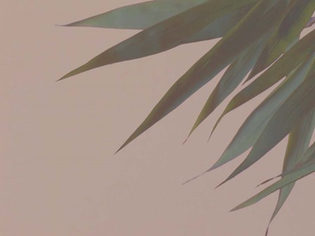 Bamboo Pink III by Renee Stramel art print