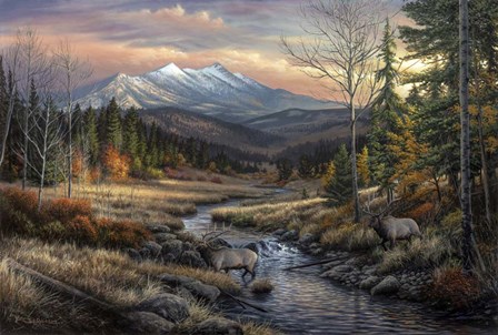 A Wanderers Dream by Chuck Black art print