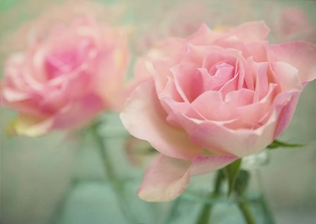 Pink Roses in Glass by Cora Niele art print