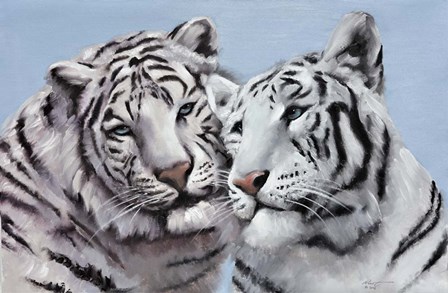 Loving White Tigers by D. Rusty Rust art print