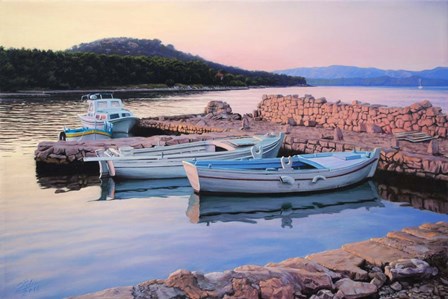 Dalmatian Island Evening by Davor Zilic art print