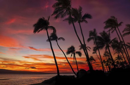 Maui Sunset by Jonathan Ross art print